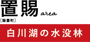 置賜