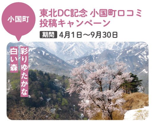 小国町