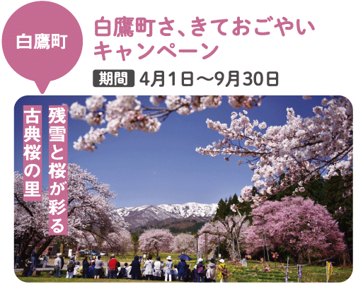 白鷹町