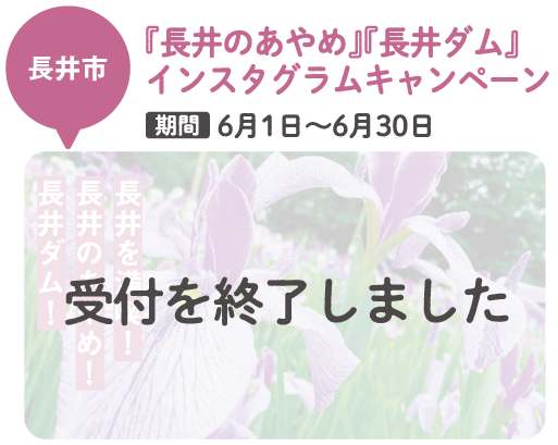 長井市